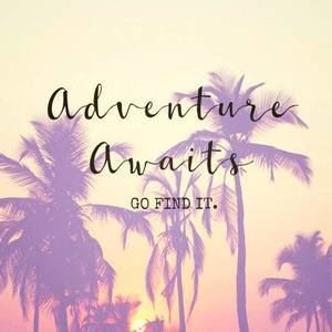 Meet your Posher, Lauu